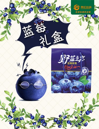 藍莓禮盒