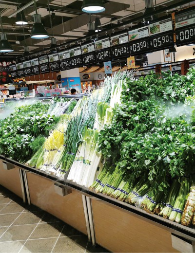 蔬菜工坊