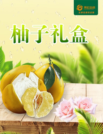 柚子禮盒