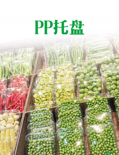 PP托盤