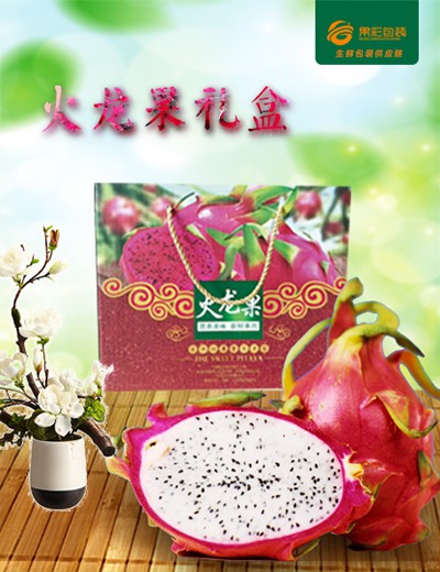 火龍果禮盒