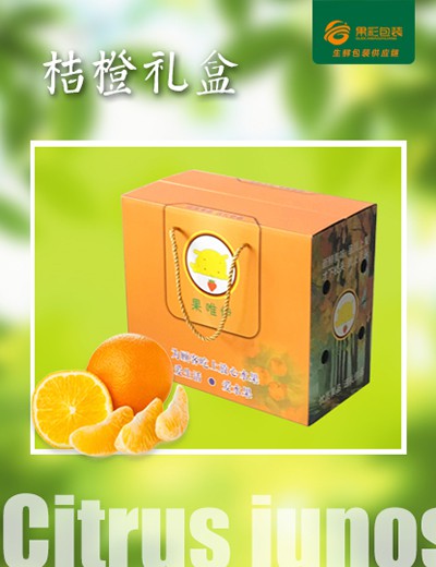 橘橙禮盒
