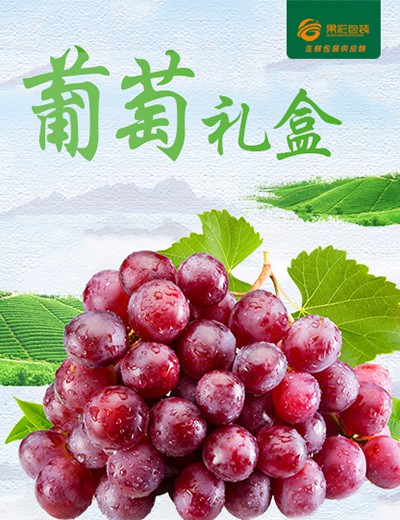 葡萄禮盒